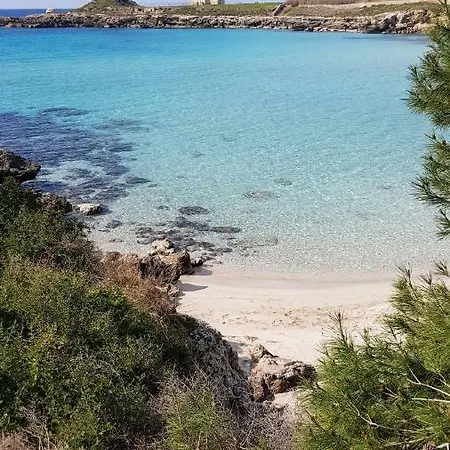 Appartement Brau&frau *